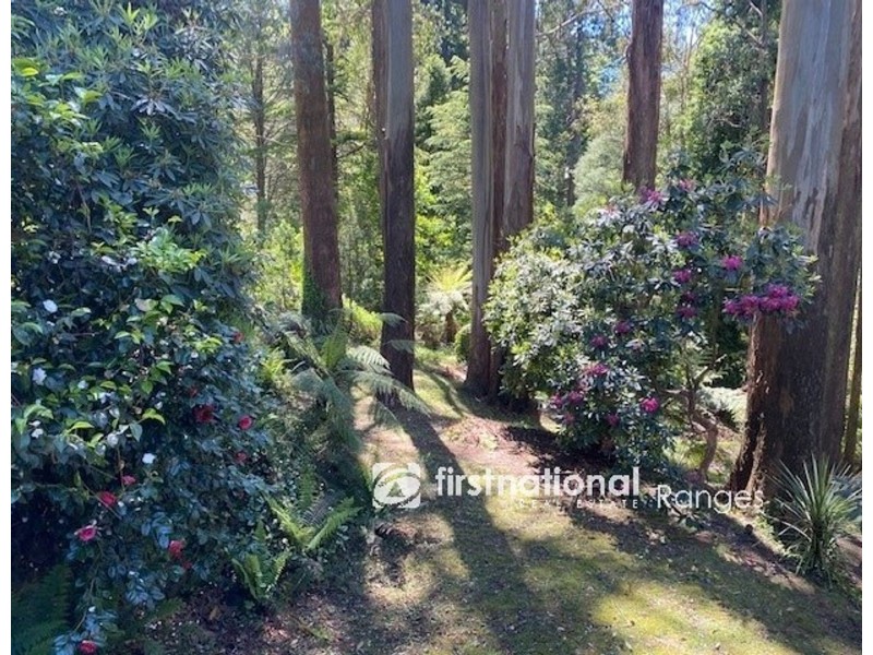 39 Olinda Crescent, Olinda VIC 3788