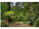 39 Olinda Crescent, Olinda VIC 3788
