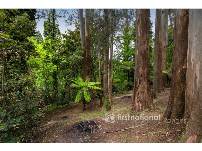 39 Olinda Crescent, Olinda VIC 3788