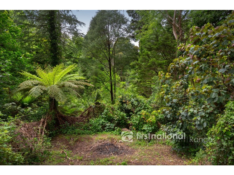 39 Olinda Crescent, Olinda VIC 3788