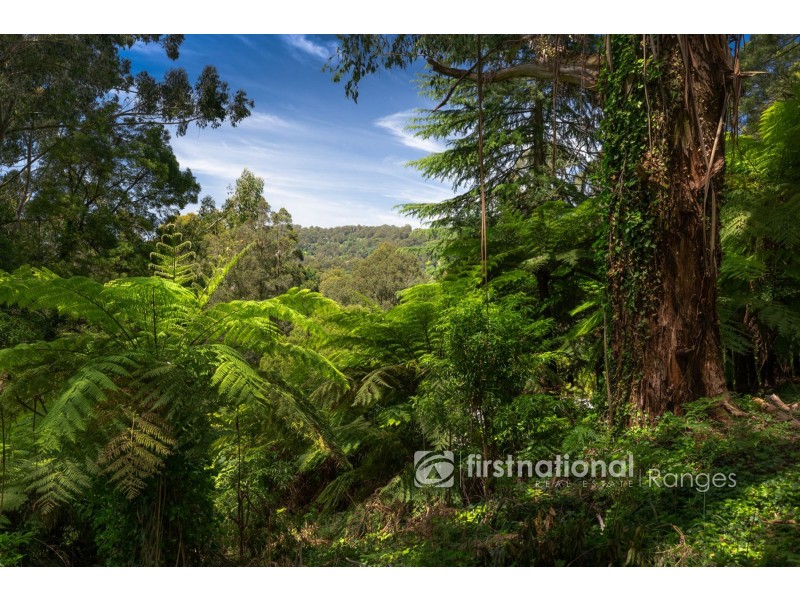 3 Holden Road, Olinda VIC 3788