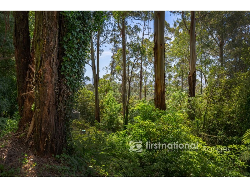 3 Holden Road, Olinda VIC 3788