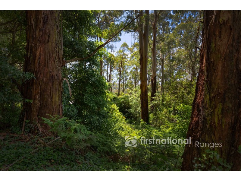 3 Holden Road, Olinda VIC 3788