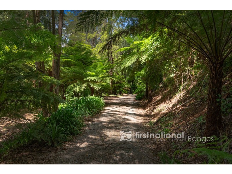 3 Holden Road, Olinda VIC 3788