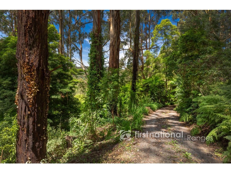 3 Holden Road, Olinda VIC 3788