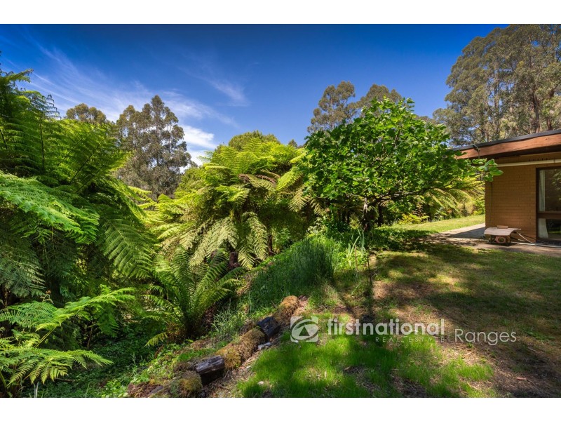 3 Holden Road, Olinda VIC 3788