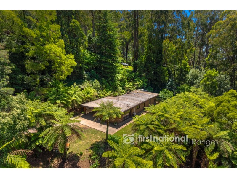 3 Holden Road, Olinda VIC 3788