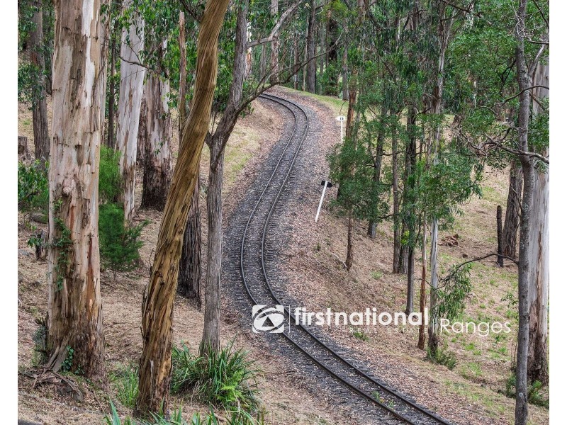 50 Menzies Road, Menzies Creek VIC 3159