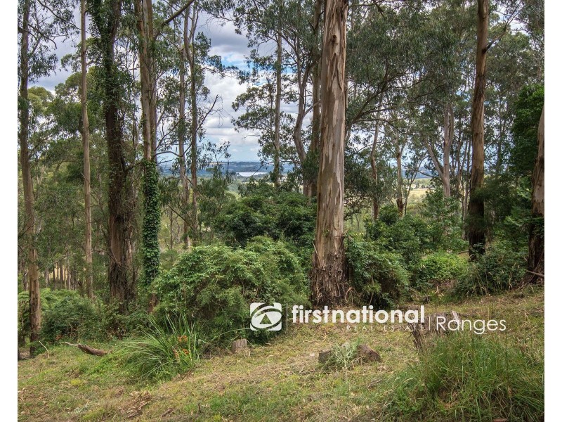 50 Menzies Road, Menzies Creek VIC 3159