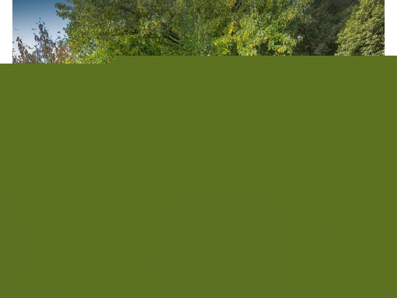 18 Main Street, Gembrook VIC 3783