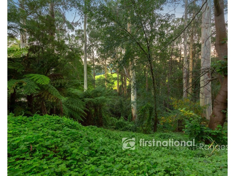 5 Lisheen Road, Cockatoo VIC 3781