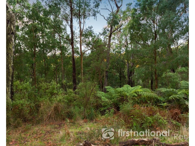 12 Bilocla Avenue, Cockatoo VIC 3781