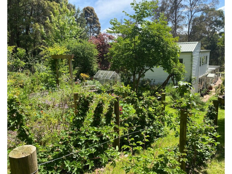 15 Charman Avenue, Emerald VIC 3782