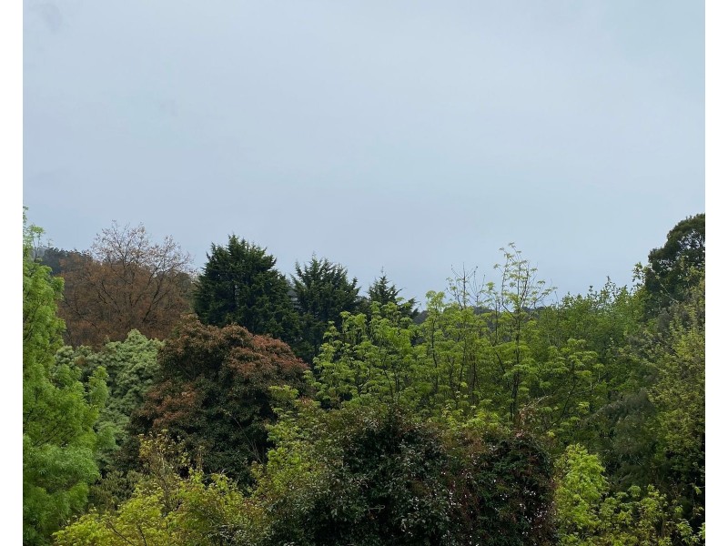 3 Outlook Drive, Kalorama VIC 3766