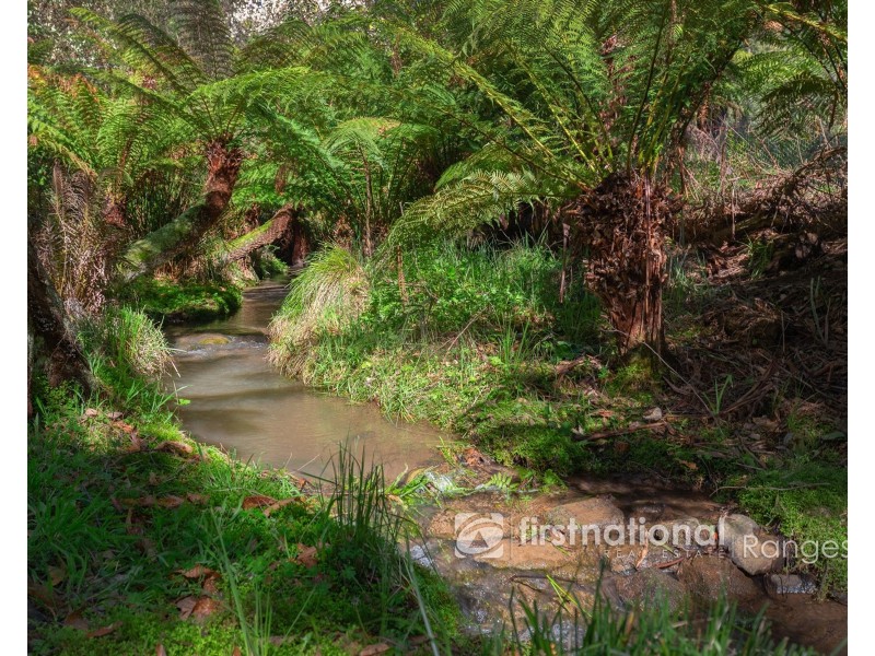 97 Priors Road, The Patch VIC 3792