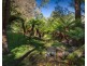 97 Priors Road, The Patch VIC 3792