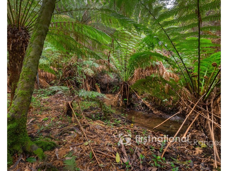9 Edenmont Road, Emerald VIC 3782