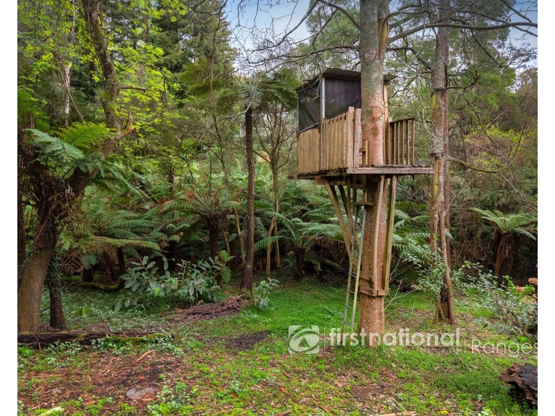 9 Edenmont Road, Emerald VIC 3782