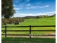 17 Bellany Road, Belgrave South VIC 3160
