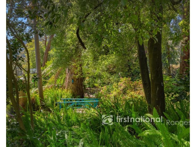 20 Toorak Avenue, The Basin VIC 3154