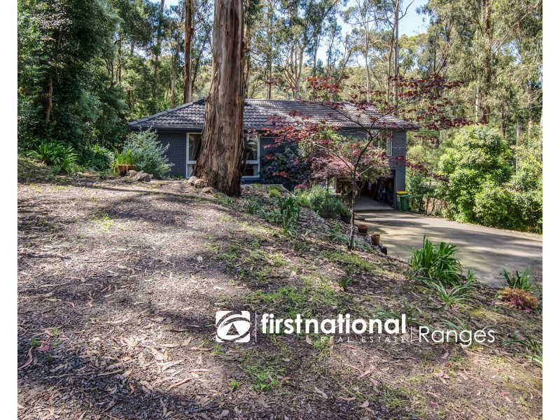 19 Anderson Road, Tecoma VIC 3160