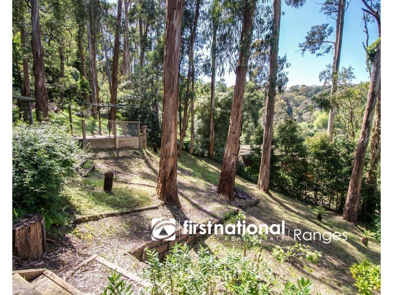 19 Anderson Road, Tecoma VIC 3160