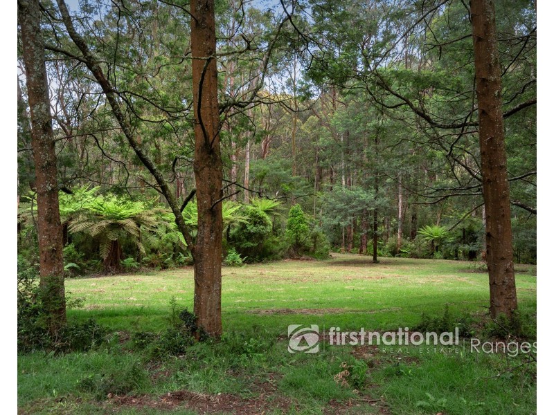 28 Morbey Road, Gembrook VIC 3783