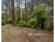 28 Morbey Road, Gembrook VIC 3783