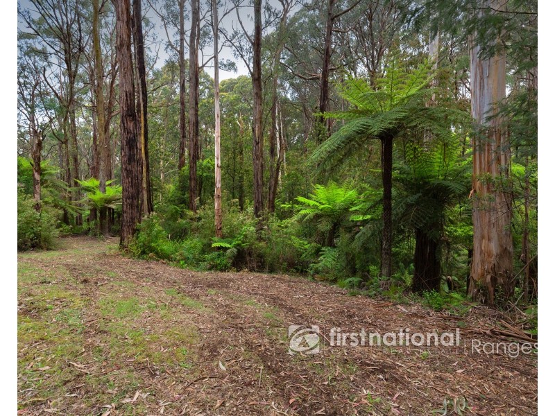 28 Morbey Road, Gembrook VIC 3783