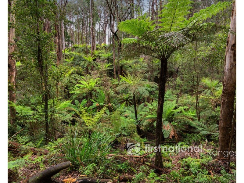 28 Morbey Road, Gembrook VIC 3783