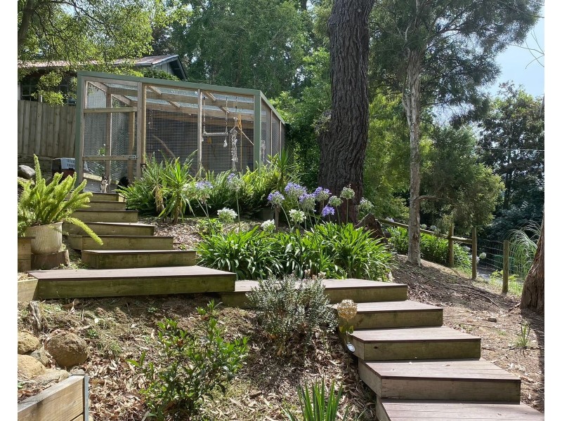 6 Terrys Avenue, Belgrave VIC 3160