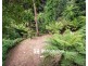 101 Belgrave-Gembrook Road, Selby VIC 3159