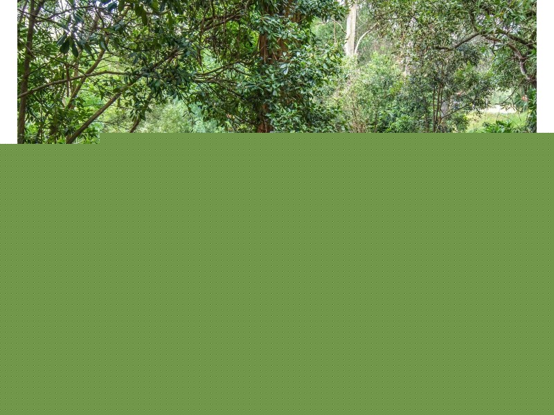 101 Belgrave-Gembrook Road, Selby VIC 3159
