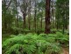 126 Beenak Road, Gembrook VIC 3783