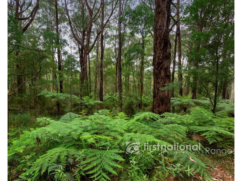 126 Beenak Road, Gembrook VIC 3783