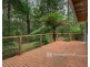 126 Beenak Road, Gembrook VIC 3783