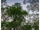 126 Beenak Road, Gembrook VIC 3783