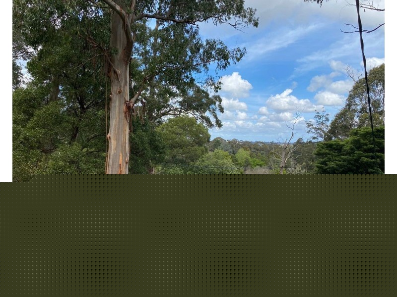 19 Glen Harrow Heights Road, Belgrave VIC 3160