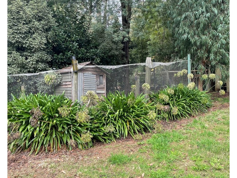 40 First Avenue, Cockatoo VIC 3781