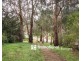 54 McNicol Road, Belgrave VIC 3160