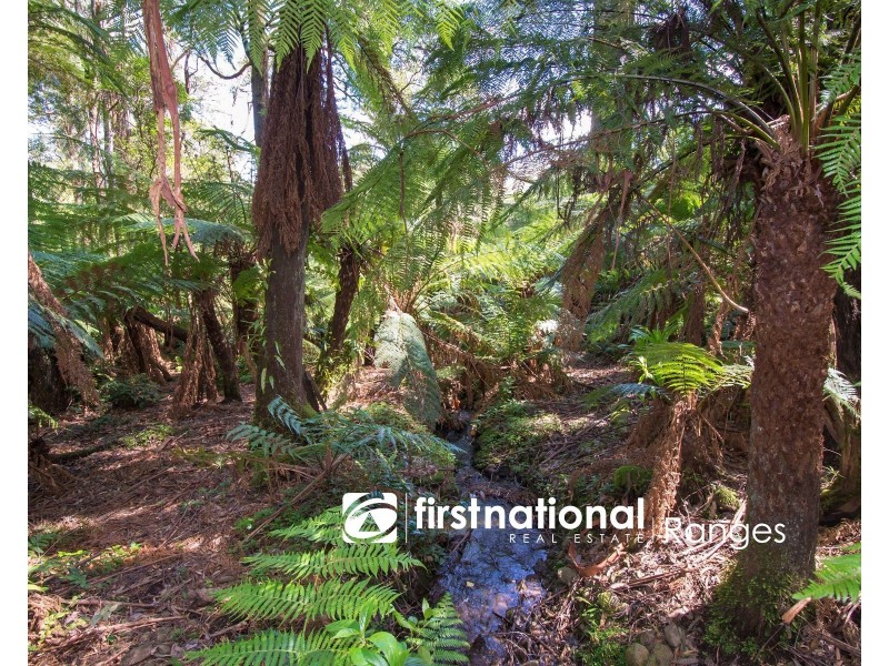 9 Lynn Street, Sassafras VIC 3787