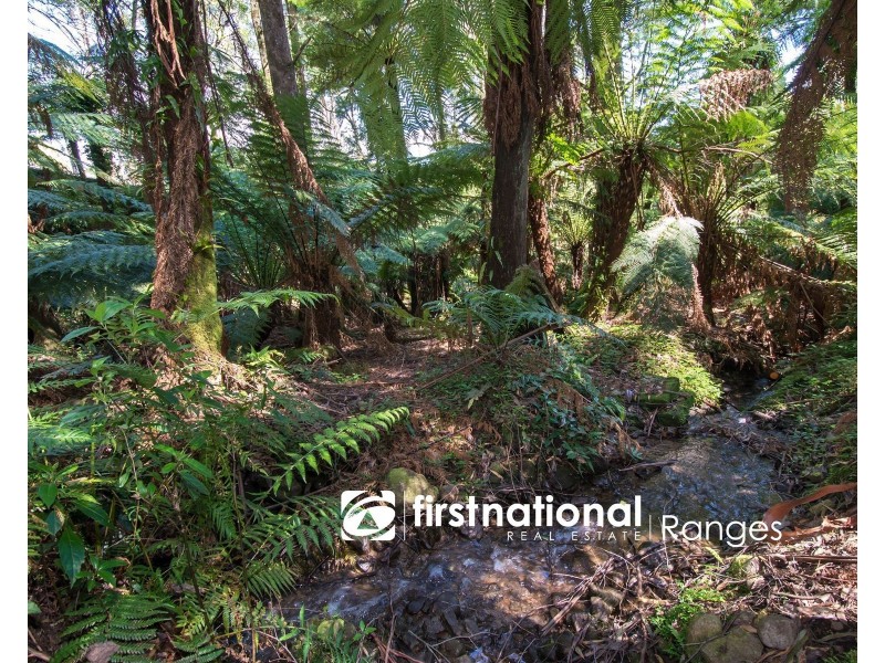 9 Lynn Street, Sassafras VIC 3787