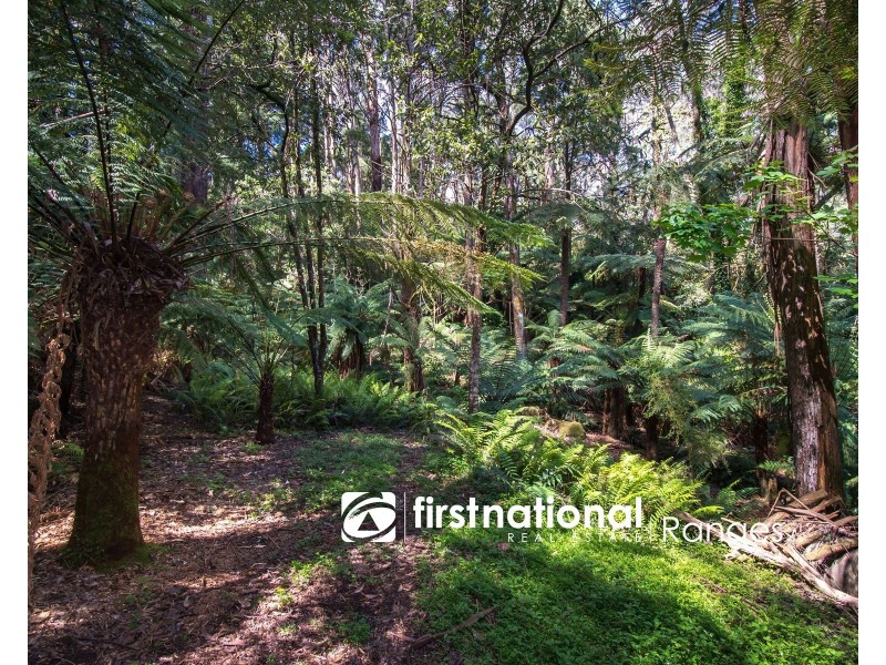 9 Lynn Street, Sassafras VIC 3787