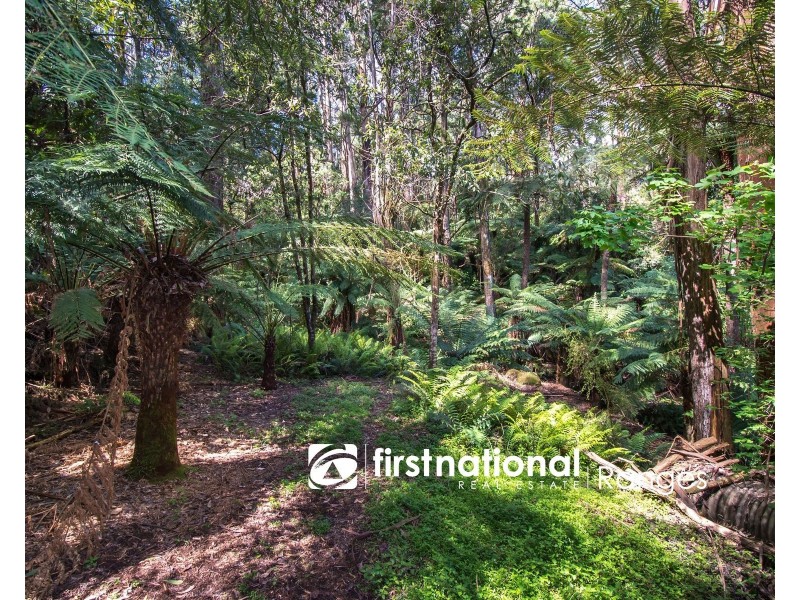 9 Lynn Street, Sassafras VIC 3787
