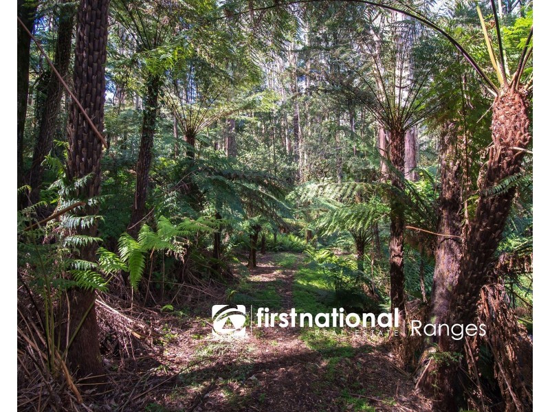 9 Lynn Street, Sassafras VIC 3787