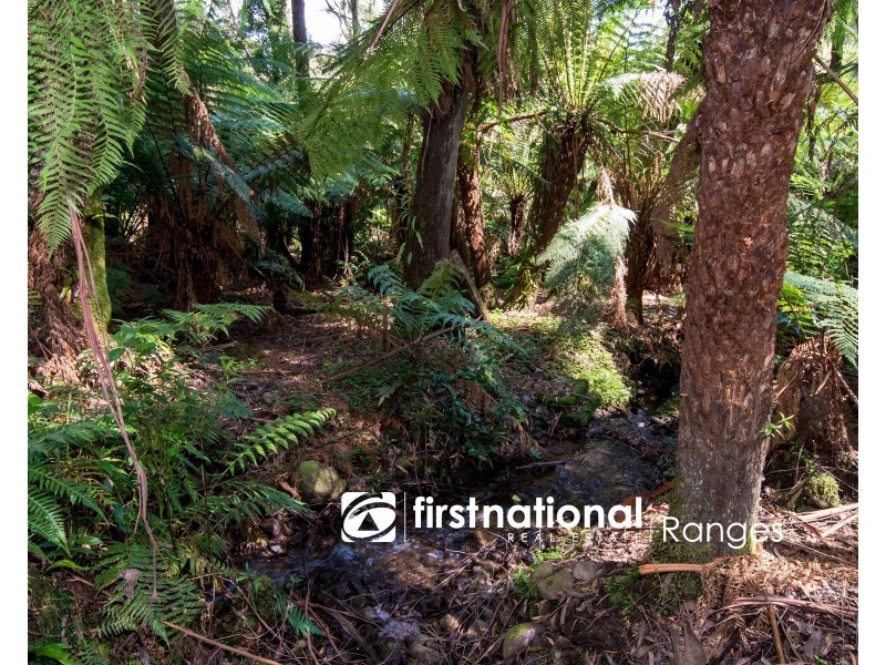 9 Lynn Street, Sassafras VIC 3787