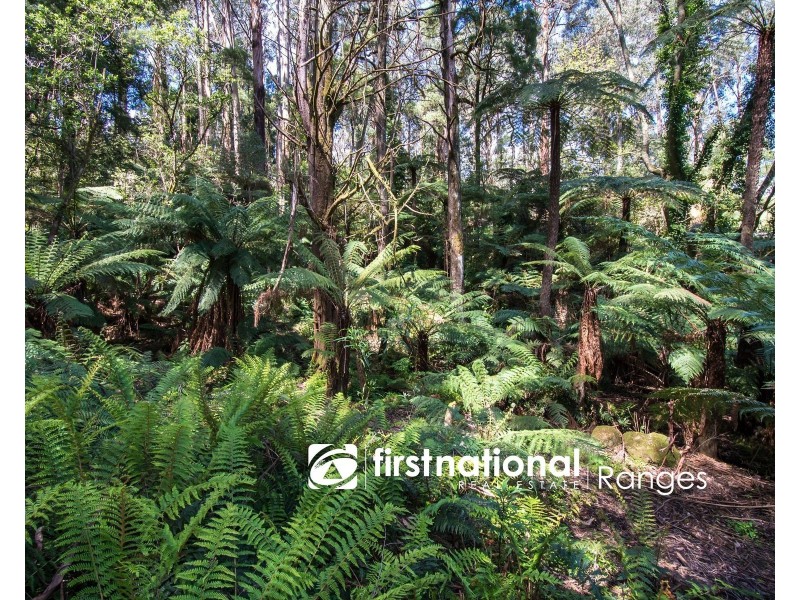 9 Lynn Street, Sassafras VIC 3787