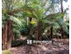 9 Lynn Street, Sassafras VIC 3787