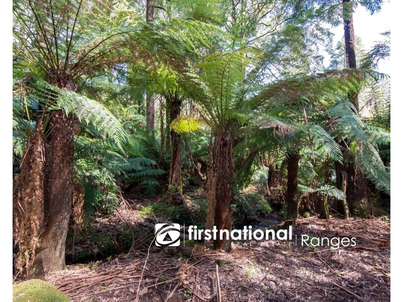 9 Lynn Street, Sassafras VIC 3787
