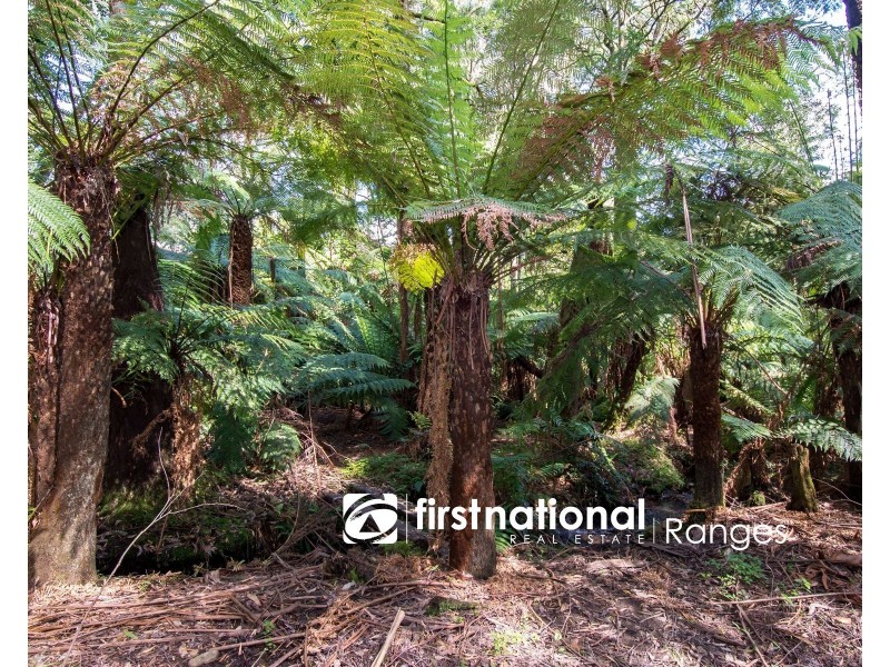 9 Lynn Street, Sassafras VIC 3787